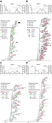 Low-level viremia episodes appear to affect the provirus composition of the circulating cellular HIV reservoir during antiretroviral therapy